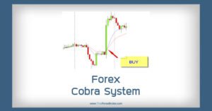 ระบบเทรด Forex Cobra System