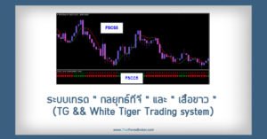 ระบบเทรด “กลยุทธ์ทีจี” และ “เสือขาว” (TG && White Tiger Trading system)