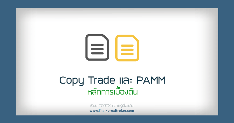 Copy Trade และ PAMM หลักการเบื้องต้น