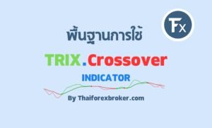 TRIX Crossover อินดิเคเตอร์ความเร็วแสง