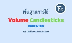 VolumeCandlesticks กับปริมาณการซื้อขายบนแท่งเทียน