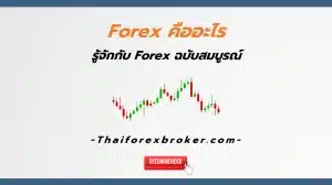 Forex คืออะไร รู้จัก Forex ฉบับสมบูรณ์